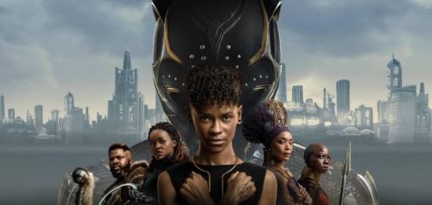 Wakanda Forever doesnt live up to first, but delivers in spirit